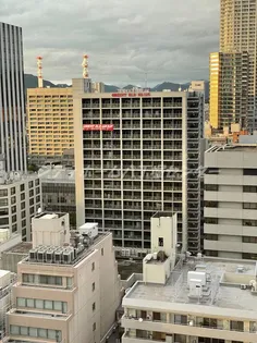 ORIENT BLD NOの画像