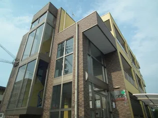 TSオルトの画像