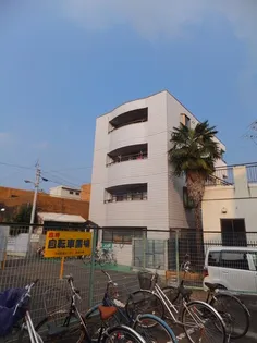 白樺ハイツ清水II【1階】の外観