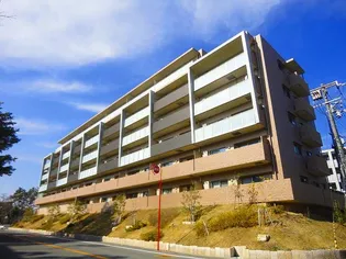 アンビエラ桃山台の画像