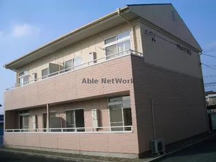 サキュレント樹の画像