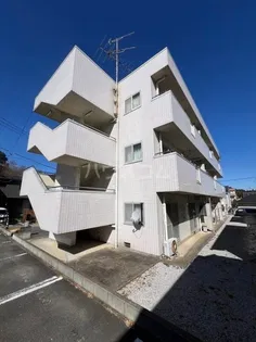 ドミールアオキ 300Bの画像