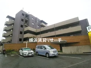LONG VERSANTの画像