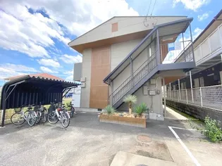 ELCAMINOの画像