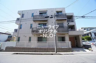 オリーブの画像