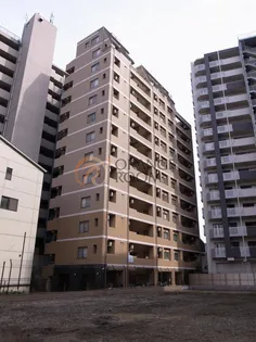 プレール文京ウエスト【2階】の外観