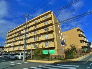 千葉県流山市南流山8【マンション】の外観