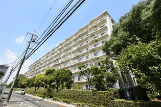 サンライトパストラル五番街C棟【8階】の外観