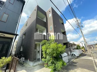 シャルムⅡの画像