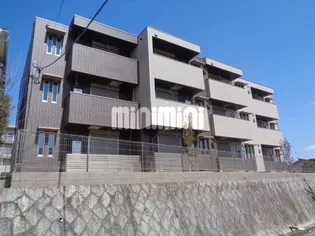 チェリーブロッサムの画像