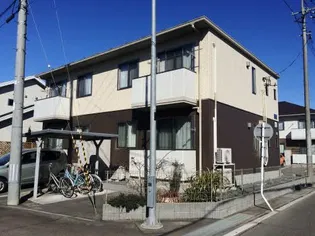 ブラン ドールCの画像