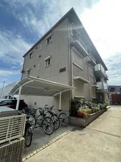 ソレイユ啓耀の画像