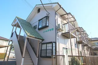 ハイツアサミの画像