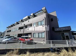 ピソアネシスの画像