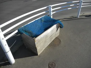 VOX5【1階】の外観