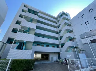 メゾンクラルテ仲町台【7階】の外観