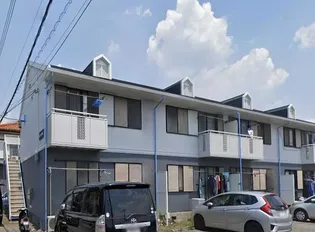 サニーヒルカネコの画像