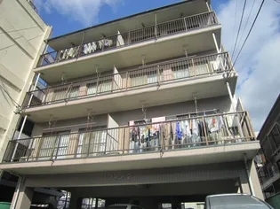 ソフィア2の画像