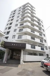 白石コートの画像