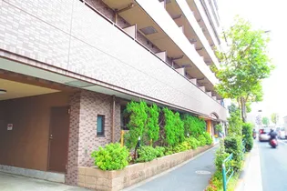 メゾン・ド・ヴィレ高円寺【3階】の外観