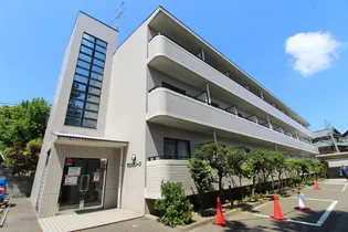 マロングリーンの画像