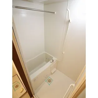 アムールそよ風の画像