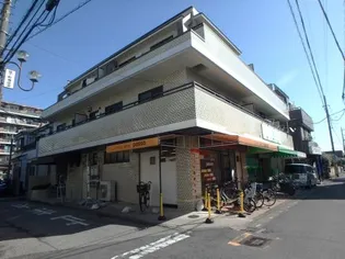 サン サイプレスの画像