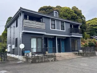 ゴールデンパールAの外観