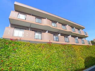 エトワールIIの画像