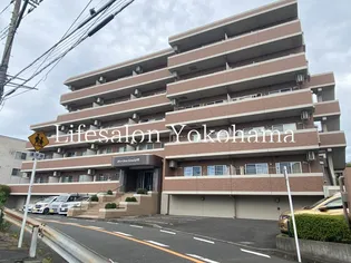 リバストーン神大寺VIIの画像