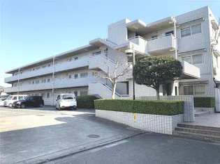 シーザードゥハイツの画像