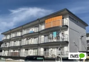 セントポーリアAの画像
