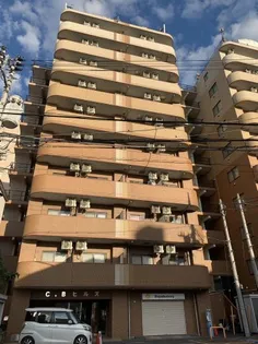 CBヒルズの画像