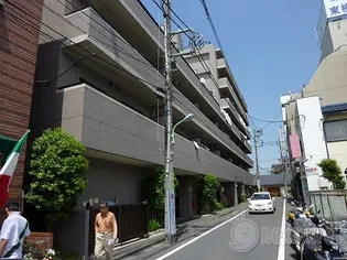 アムール森野の画像