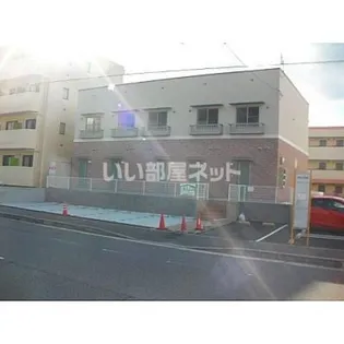 セラサス・コリスの外観