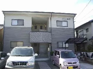 コライ南洋の画像