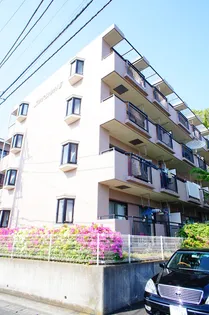 シャルマンIIの画像