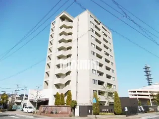 アクシス香蘭の画像