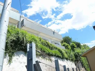 レグルス西谷の画像