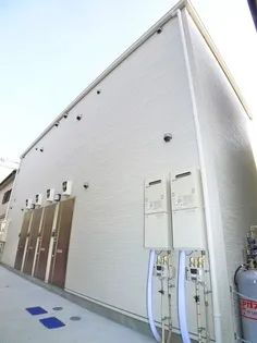 アモーレ コイロの画像