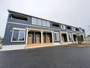 プルメリアの画像