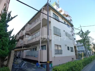 越ゴールデンフラットの画像