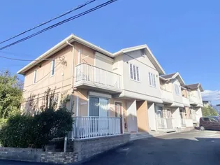 プラシードAの画像