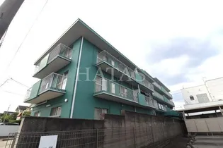マイアみどりの画像
