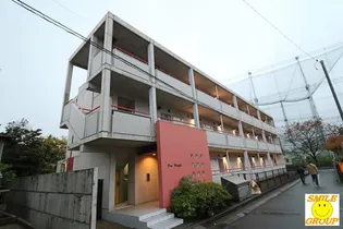 PINE HEIGHTSの画像