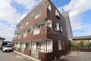 ピオンズ羽根の画像