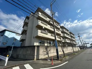ホワイトピア江島台の画像