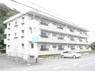 ウィステリアの画像