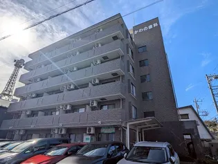 神奈川県厚木市恩名2【マンション】の外観