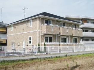 プリティーホメイの画像